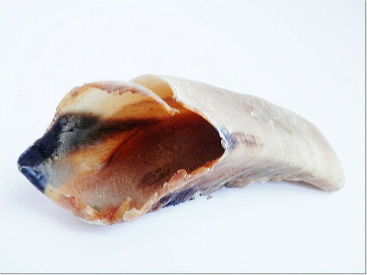 Ossa da masticare per cani